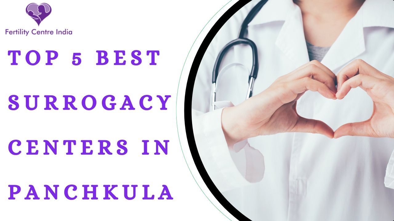 Top 5 Best Surrogacy Centers in Panchkula
