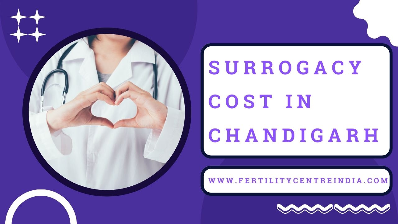 Surrogacy Cost in Chandigarh