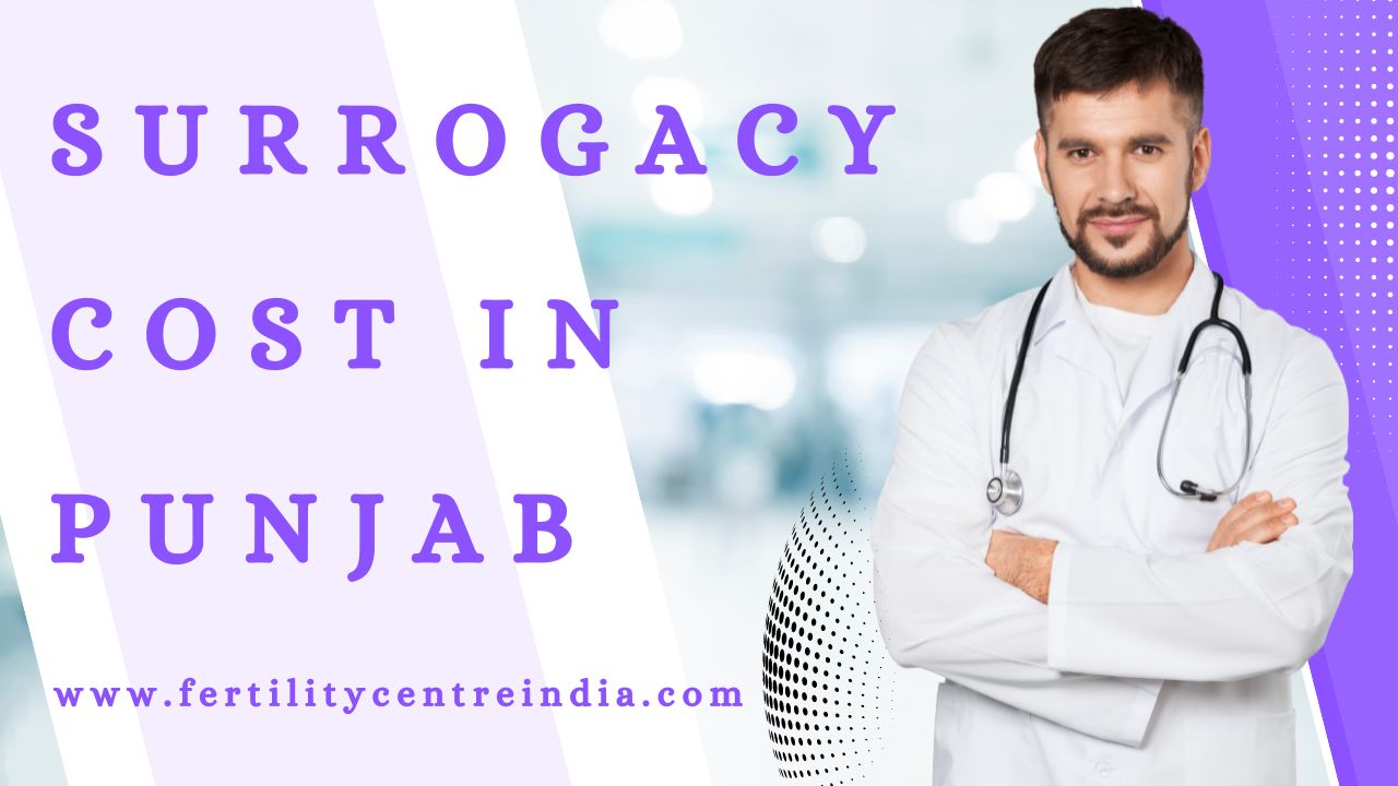Surrogacy Cost in Punjab