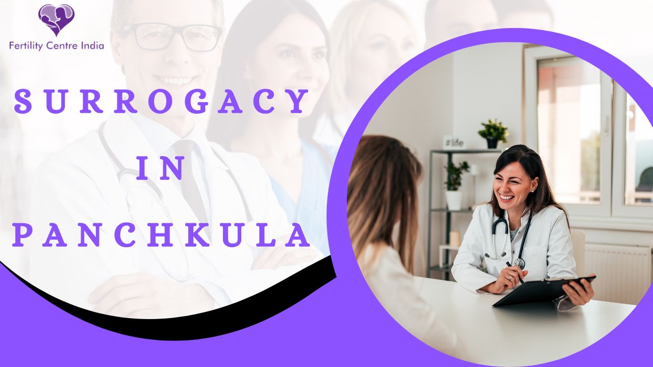 Surrogacy in Panchkula