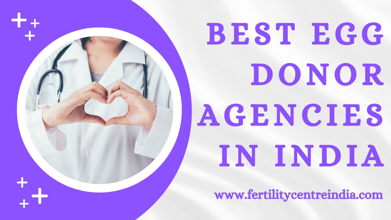 Best Egg Donor Agencies in India