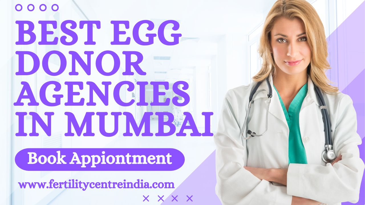Egg Donor Agencies in Mumbai