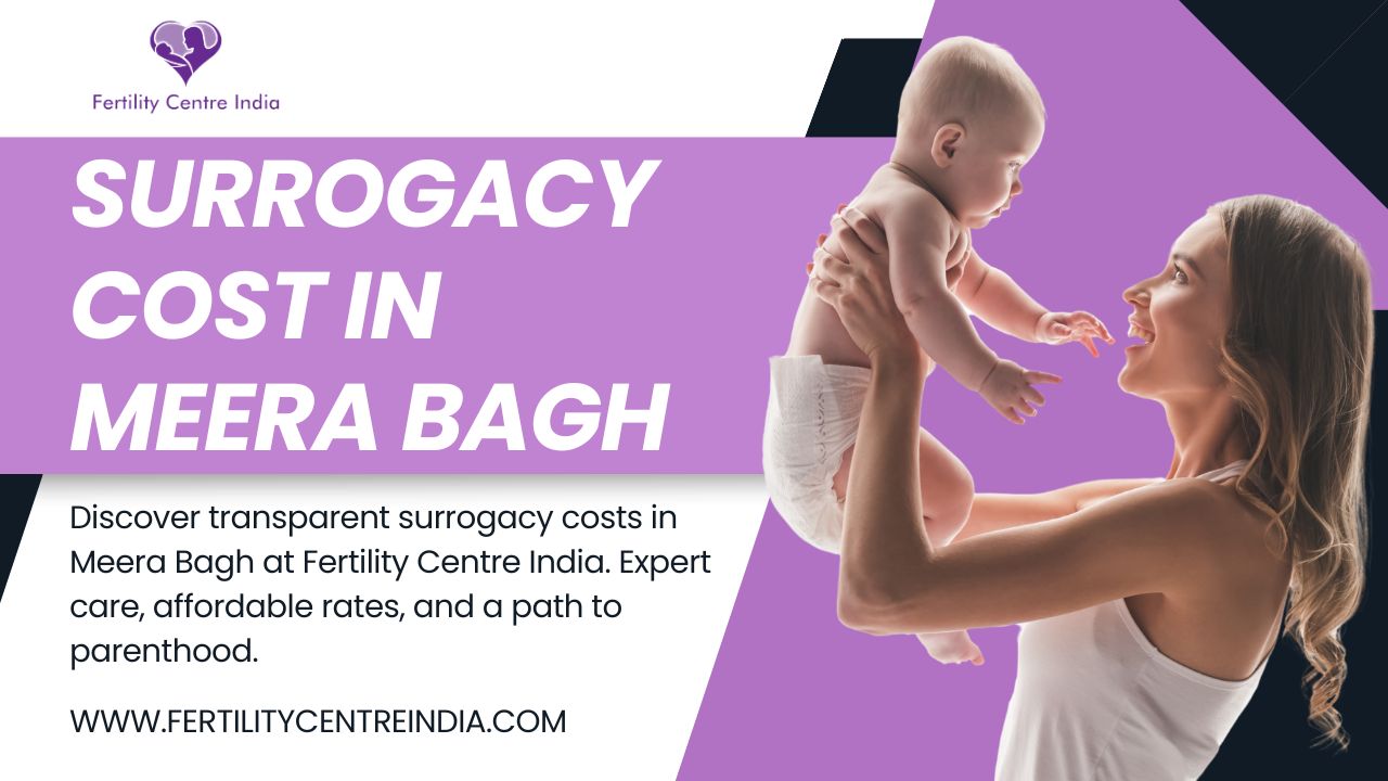 Surrogacy Cost in Meera Bagh